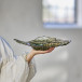 Aiku Skål Glass, Grønn