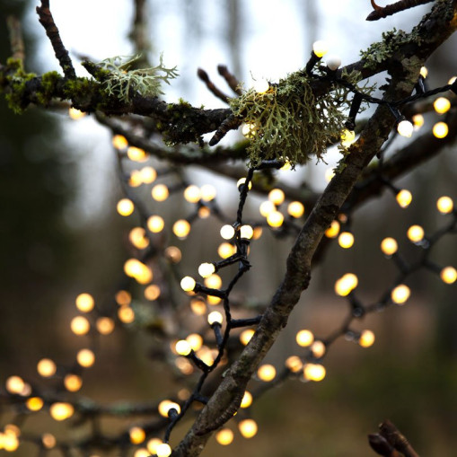 Lysstreng Berry Mini 700 LED