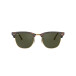 Clubmaster Mock Tortoise On Arista