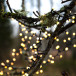 Lyskæde Berry Mini 700 LED