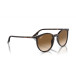 Solbriller Havana