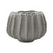 Pot Shell