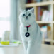 TagBird Smart Tracker iOS & Andriod 4-P