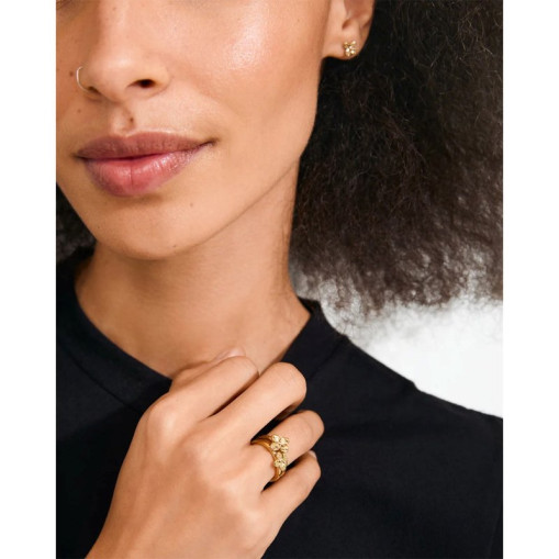 Sanine gift set, rings & gold earrings